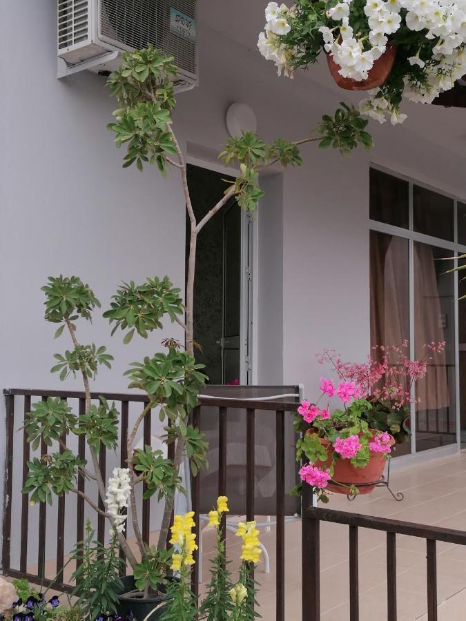 Apartmán Hamboula Polis Exteriér fotografie